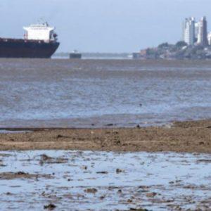 Alarma por la situación del sábalo en el Paraná: bajante histórica y sobrepesca