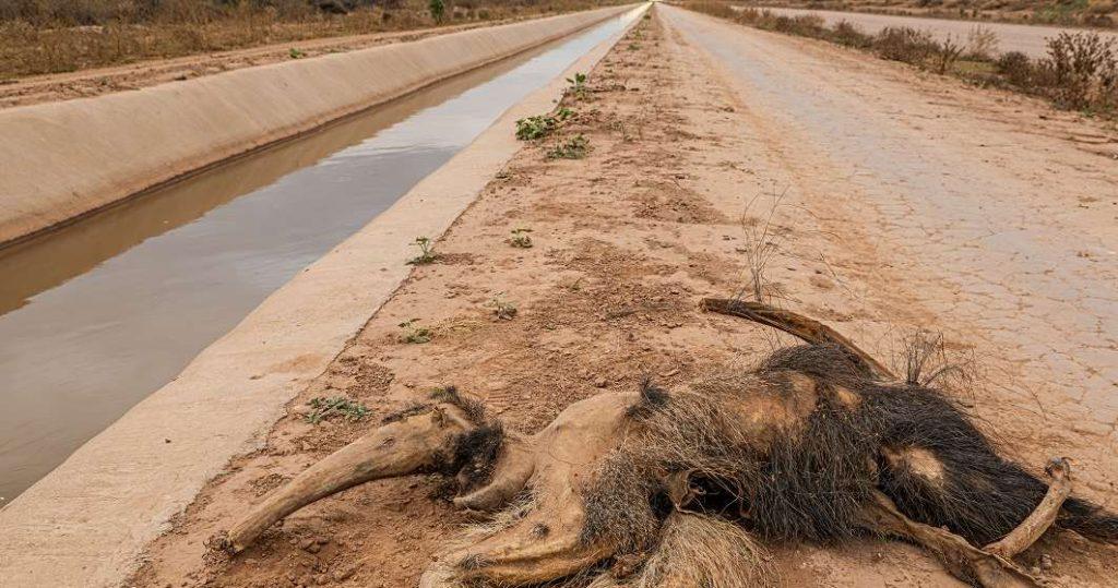 Canal de la Patria: organizaciones ambientales demandan ante la Corte Suprema al Gobierno por daño ambiental
