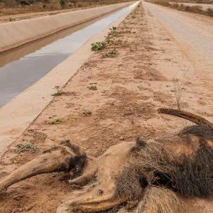 Canal de la Patria: organizaciones ambientales demandan ante la Corte Suprema al Gobierno por daño ambiental