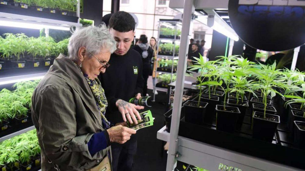 Expo Cannabis 2025: una megaferia con más de 400 stands, talleres y consultas médicas gratuitas