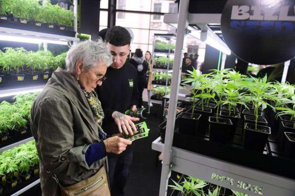 Expo Cannabis 2025: una megaferia con más de 400 stands, talleres y consultas médicas gratuitas