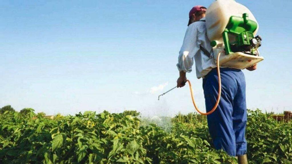 El Gobierno de Misiones quiere eliminar la prohibición del glifosato y abre un nuevo conflicto ambiental El Gobierno de Misiones quiere eliminar la prohibición del glifosato y abre un nuevo conflicto ambiental