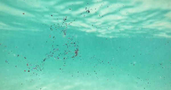 Así actúan los nuevos plásticos “inteligentes” que atraviesan células y ecosistemas