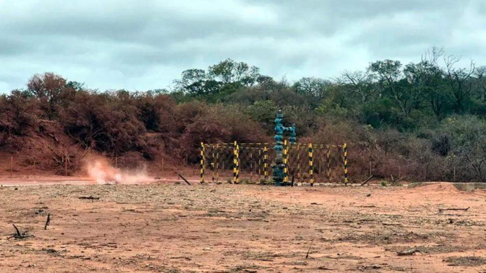 The Carbon SInk firma convenio con The Well Done Foundation para acelerar la reducción de metano a través de créditos de carbono