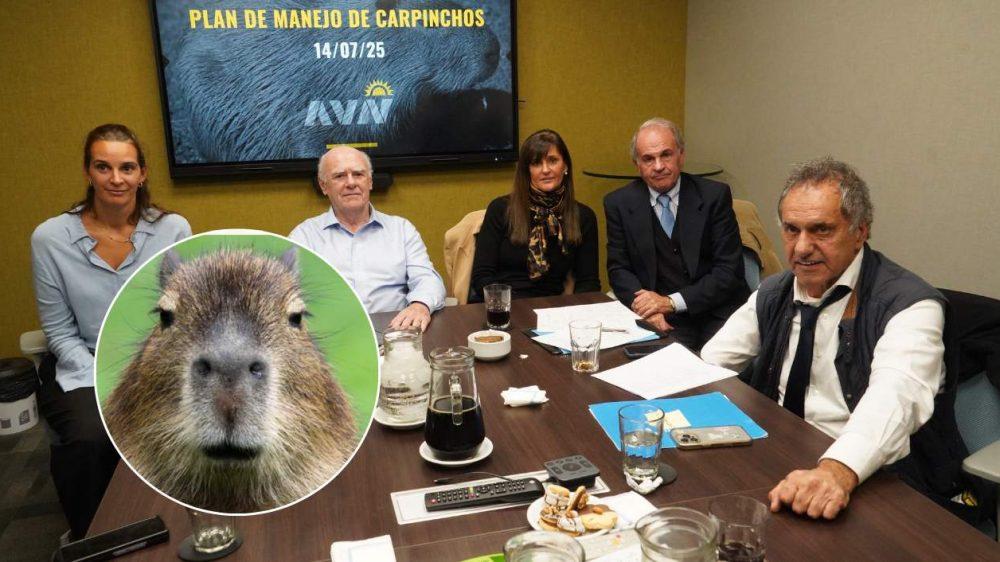 carpinchos Nordelta