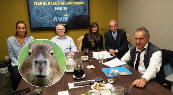 carpinchos Nordelta