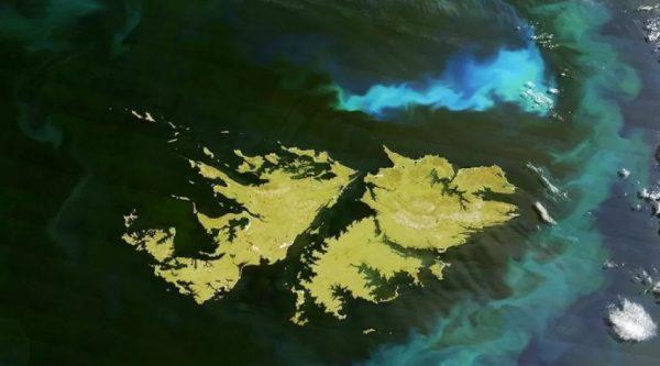 Imagen satelital de las Islas Malvinas. Imagen: Archivo Economía Sustentable.