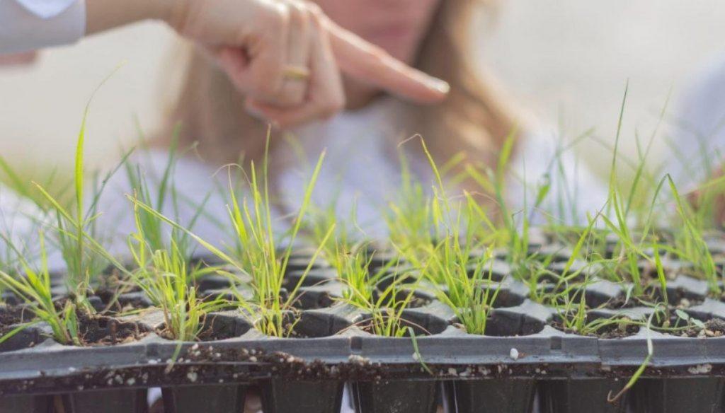 Puna Bio recibe inversión de la Fundación Gates para expandir sus biofertilizantes y combatir el cambio climático