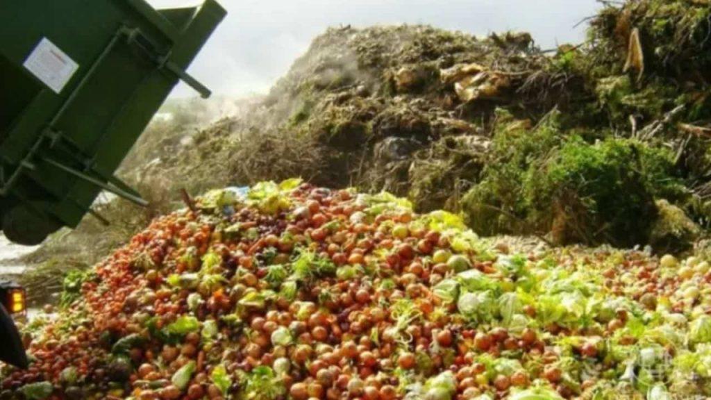 Cómo China transforma los desperdicios alimentarios: este modelo es posible replicarlo en otros países