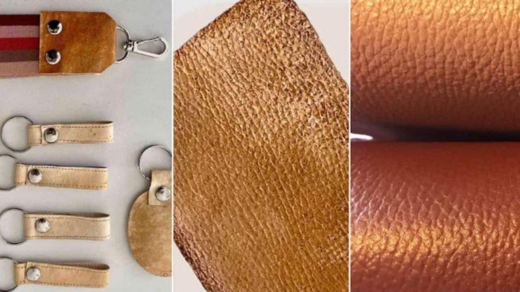 Científicas argentinas crearon un biomaterial similar al cuero a partir de hongos