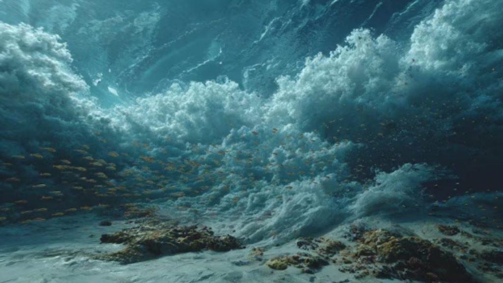 Cómo un cambio en la oxigenación de los océanos transformó la vida marina