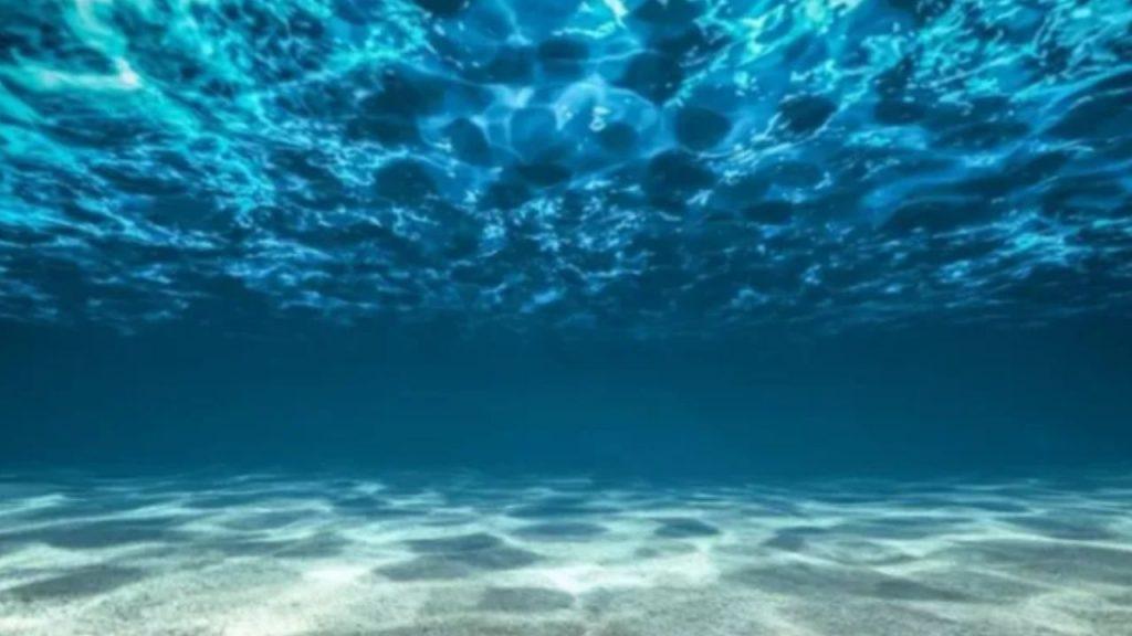 Revelaron las proyecciones de la suba del nivel del mar de hace 30 años y el resultado no sorprende a nadie