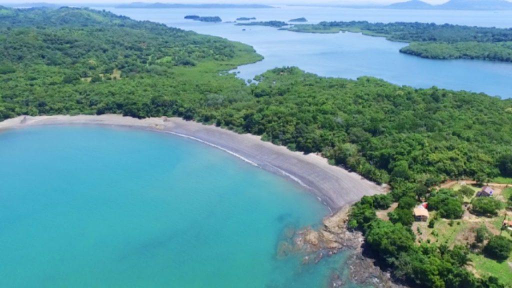 Por primera vez, se interrumpió un fenómeno clave para la vida marina
