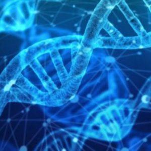 Egipto sorprende al mundo: encuentran el ADN humano más antiguo en una vasija sellada