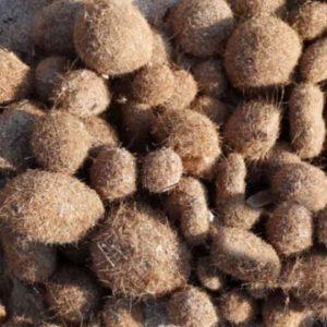 Hallaron que las “bolas de Neptuno” están contaminadas con plásticos