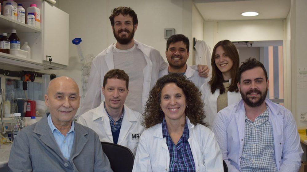 científicos argentinos usan IA para ver por primera vez un receptor clave vinculado al Alzheimer