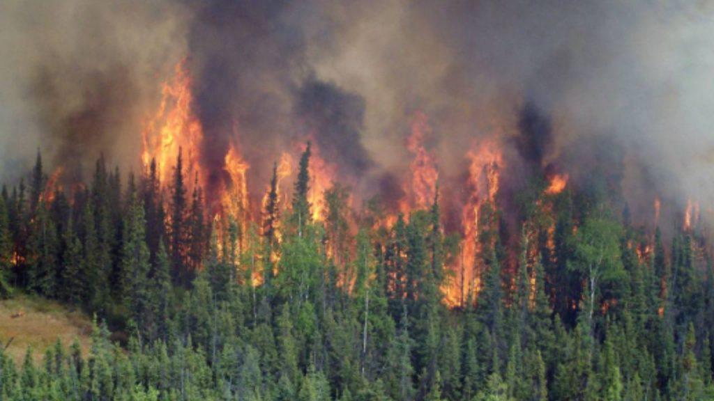 Alerta climática: casi la mitad de las metas ambientales de Argentina están estancadas o retrocedieron Alerta climática: casi la mitad de las metas ambientales de Argentina están estancadas o retrocedieron