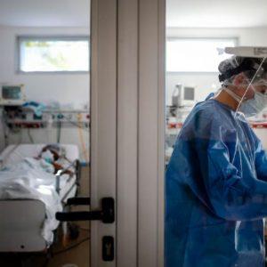 Maldi-Bot, el sistema argentino de IA que ayuda a detectar bacterias