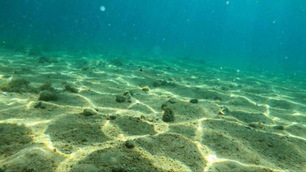 Europa descubre un “tesoro” energético en el Mar del Norte