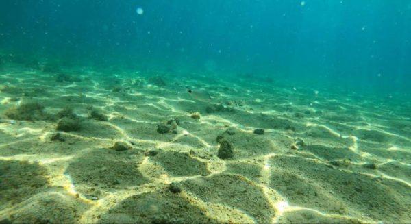 Europa descubre un “tesoro” energético en el Mar del Norte