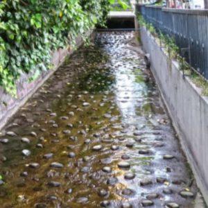 Desarrollan una idea para aprovechar los canales de Mendoza y generar energía