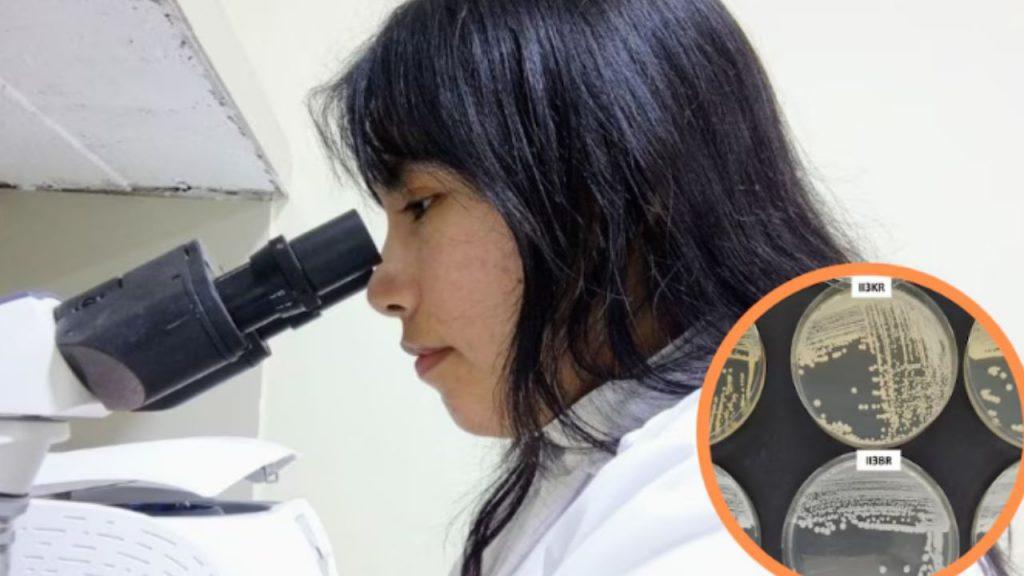 Una investigadora desarrolló una alternativa sostenible para la desalinización del agua