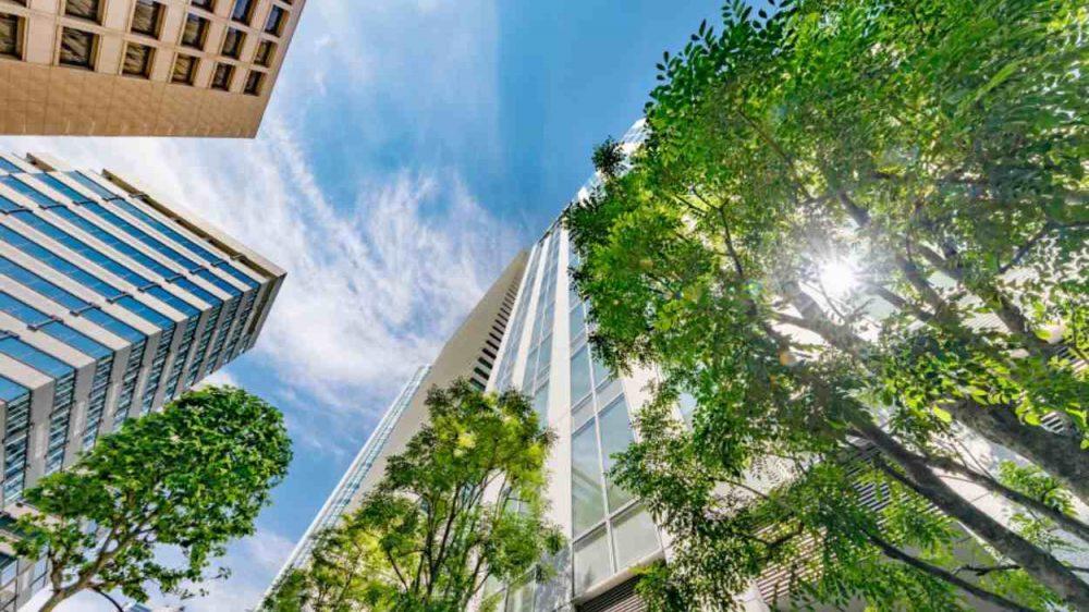 Construcción sustentable: Saint-Gobain acelera su plan para descarbonizar el sector hacia 2050