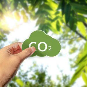 Créditos de carbono, ¿herramienta para la transición energética o “lavado” verde?