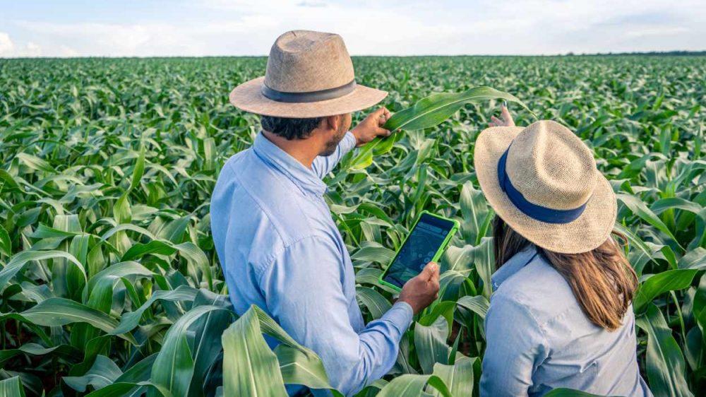 Syngenta abre su plataforma digital Cropwise a desarrolladores para impulsar la innovación y reducir la brecha tecnológica en el agro