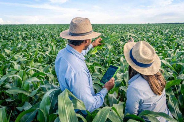 Syngenta abre su plataforma digital Cropwise a desarrolladores para impulsar la innovación y reducir la brecha tecnológica en el agro