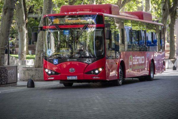 Cuántos colectivos eléctricos hay en Argentina y cuán rentables son: ranking de las 5 ciudades más avanzadas