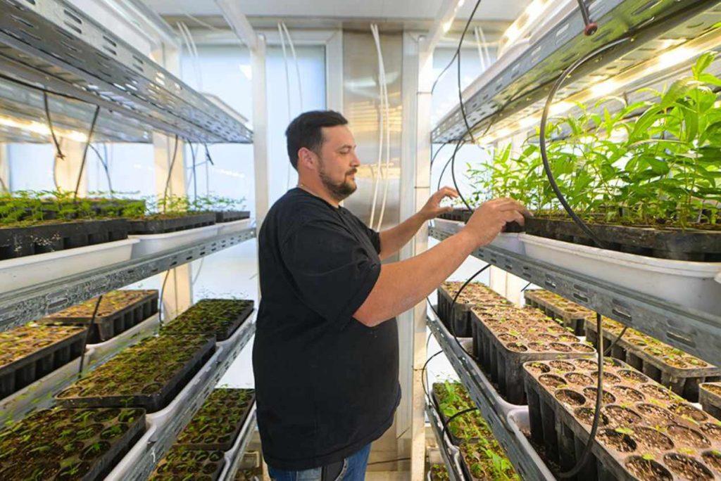 Una provincia acaba de crear su propio “laboratorio” de árboles autóctonos Una provincia acaba de crear su propio “laboratorio” de árboles autóctonos