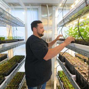 Una provincia acaba de crear su propio “laboratorio” de árboles autóctonos