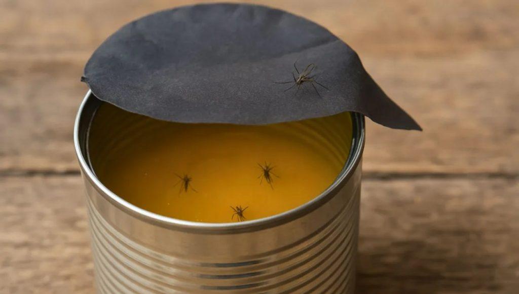 El truco casero con latas de durazno para combatir mosquitos este verano El truco casero con latas de durazno para combatir mosquitos este verano