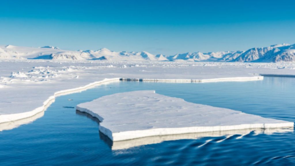 El Ártico vivió el año más caluroso desde 1900: ¿Qué temperatura alcanzó? El Ártico vivió el año más caluroso desde 1900: ¿Qué temperatura alcanzó?