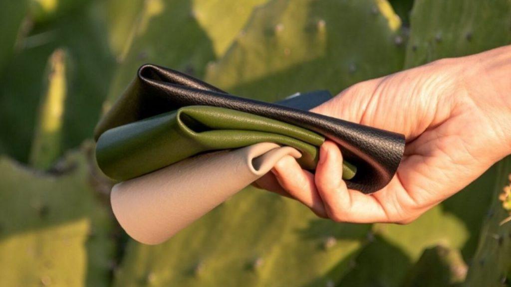 Cómo acceder a las 15 becas para emprendimientos de diseño sustentable con fondos en dólares Cómo acceder a las 15 becas para emprendimientos de diseño sustentable con fondos en dólares