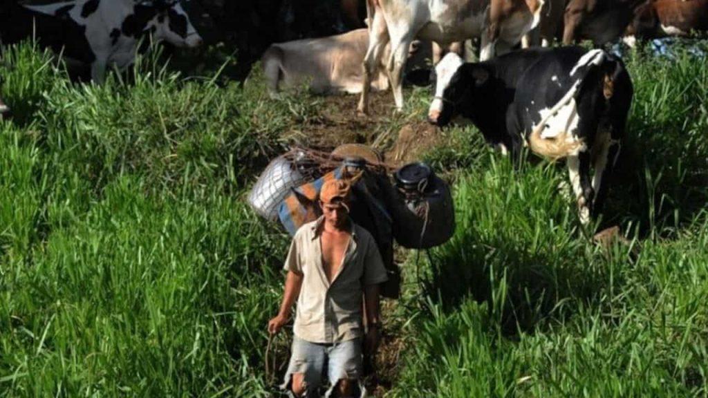 Una científica argentina logró un reconocimiento internacional por un estudio sobre ganadería sustentable Una científica argentina logró un reconocimiento internacional por un estudio sobre ganadería sustentable