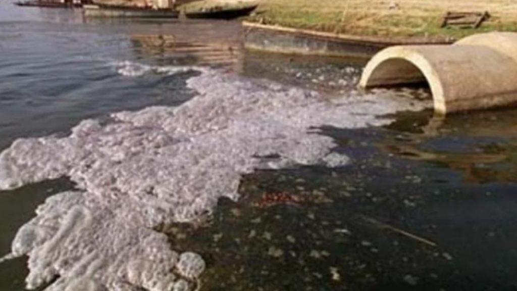 Detectan restos de medicamentos en el Río de la Plata y alertan por el impacto de la urbanización Detectan restos de medicamentos en el Río de la Plata y alertan por el impacto de la urbanización