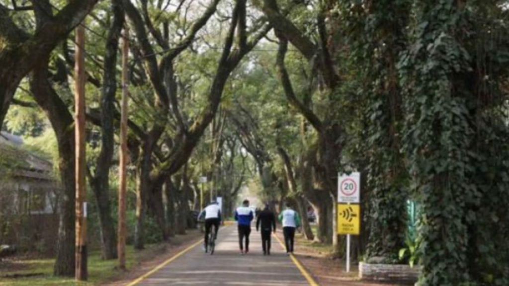 No es Cariló ni Pinamar y está a 30 minutos de CABA: así es esta zona del conurbano con bosque y restaurantes de lujo No es Cariló ni Pinamar y está a 30 minutos de CABA: así es esta zona del conurbano con bosque y restaurantes de lujo