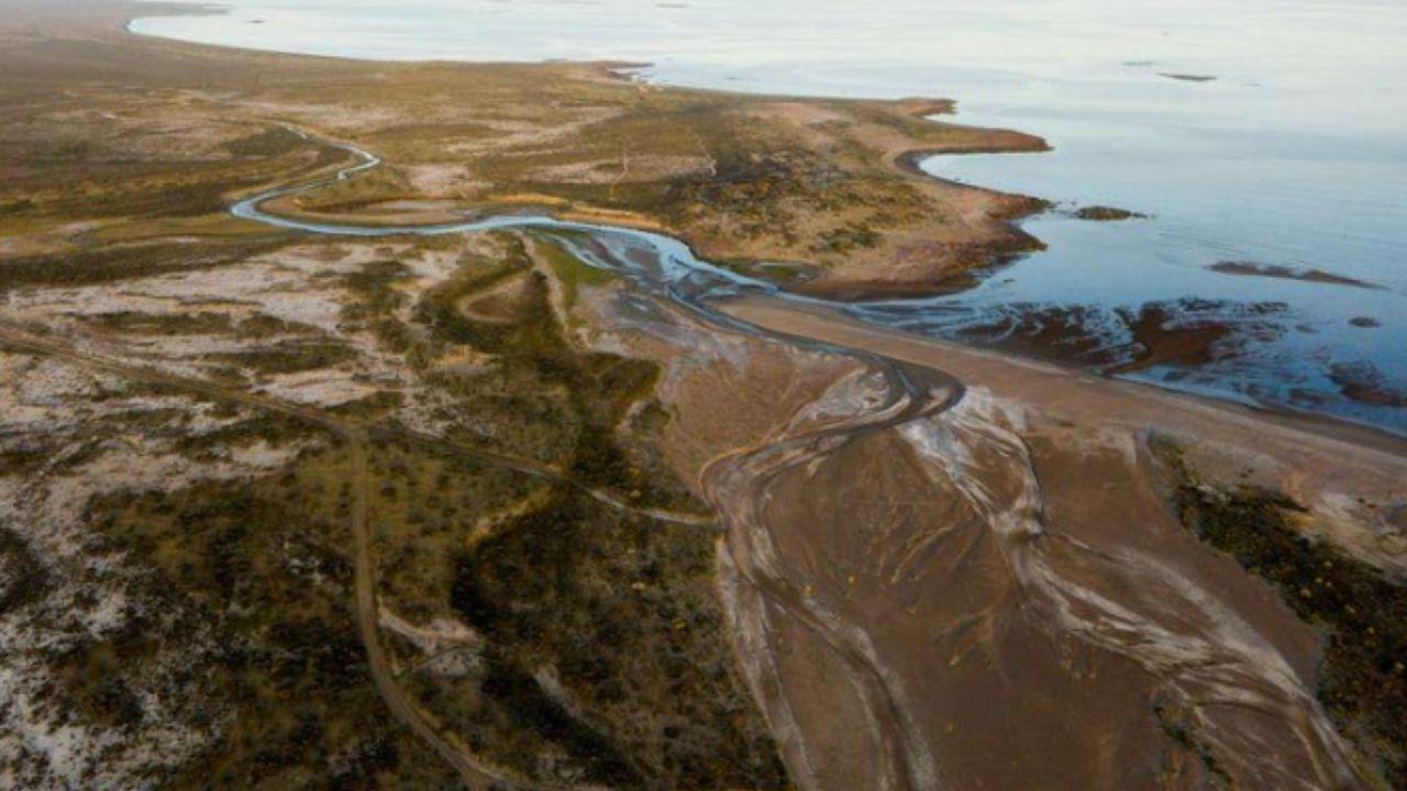 Patagonia Azul: el corredor costero de Chubut que combina conservaci&oacute;n, comunidades locales y turismo responsable