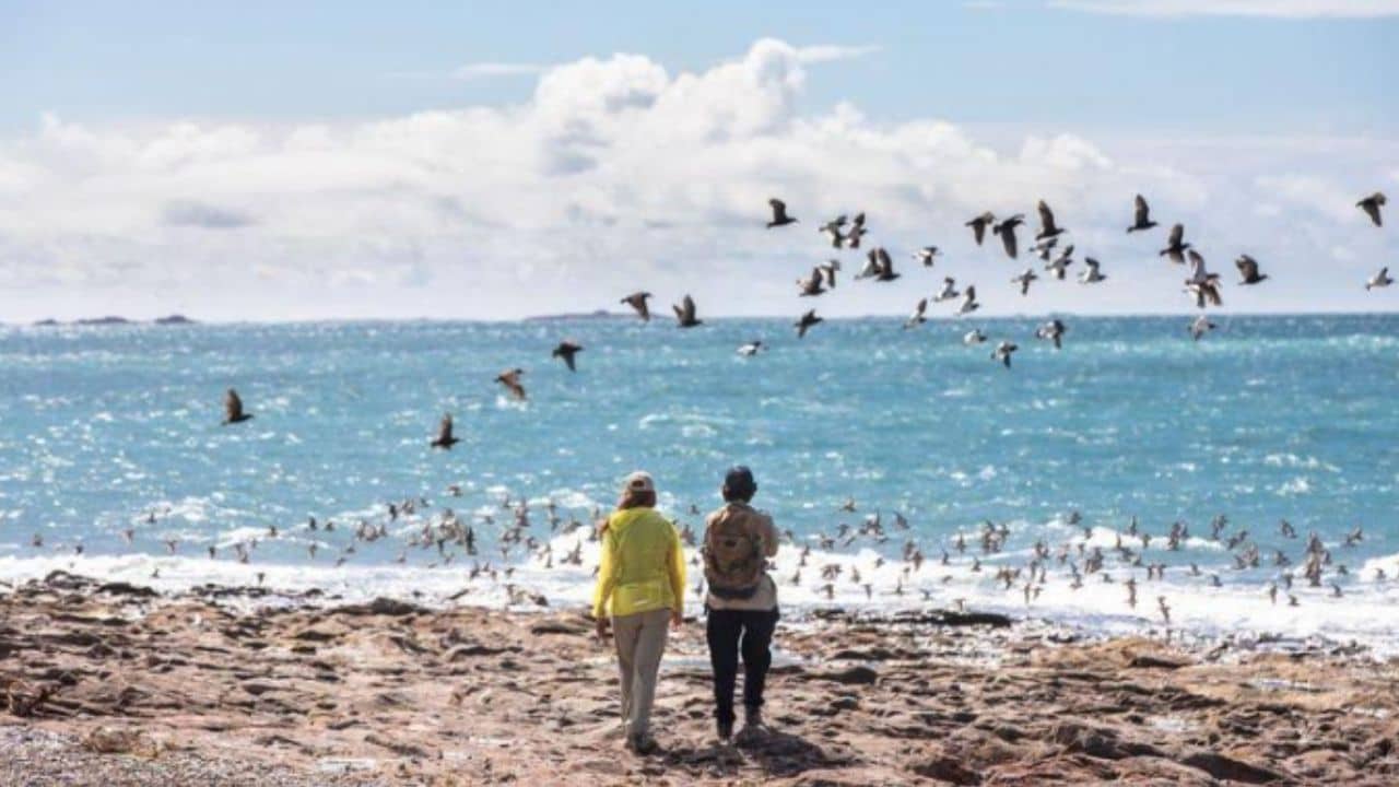 Patagonia Azul: el corredor costero de Chubut que combina conservaci&oacute;n, comunidades locales y turismo responsable