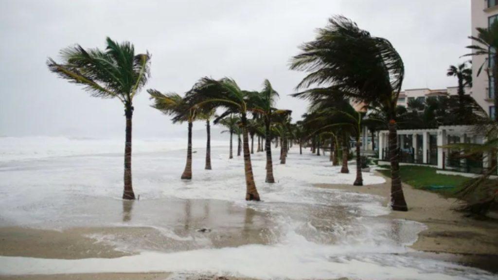 Tormentas tropicales: nuevos vectores de microplásticos que podrían intensificar el cambio climático Tormentas tropicales: nuevos vectores de microplásticos que podrían intensificar el cambio climático