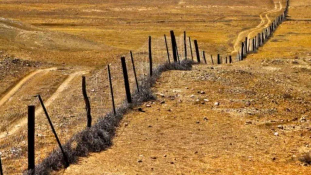 Construyeron la valla más larga del mundo en el desierto, pero tuvieron un gran problema Construyeron la valla más larga del mundo en el desierto, pero tuvieron un gran problema