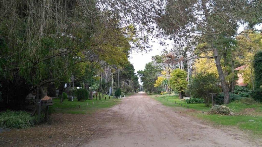 Ni Pinamar ni Villa Gesell: la playa a 4 horas de CABA que enamora por su bosque de pinos y el mar Ni Pinamar ni Villa Gesell: la playa a 4 horas de CABA que enamora por su bosque de pinos y el mar