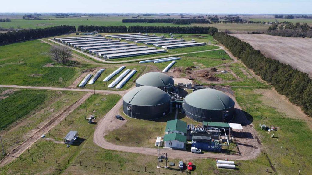 La planta bonaerense que convierte efluentes porcinos en electricidad y reduce miles de toneladas de CO₂ La planta bonaerense que convierte efluentes porcinos en electricidad y reduce miles de toneladas de CO₂