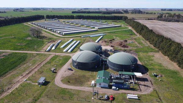 De desecho a energía limpia: la planta bonaerense que convierte efluentes porcinos en electricidad y reduce miles de toneladas de CO₂