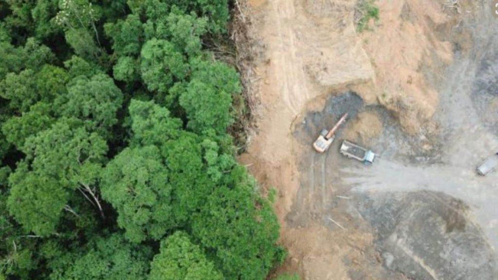 Un estudio descubrió que la deforestación amazónica eleva la temperatura y reduce las lluvias Un estudio descubrió que la deforestación amazónica eleva la temperatura y reduce las lluvias