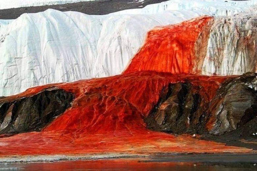 Las impactantes fotos de la “cascada de sangre” que tiñe de rojo el hielo en la Antártida Las impactantes fotos de la “cascada de sangre” que tiñe de rojo el hielo en la Antártida