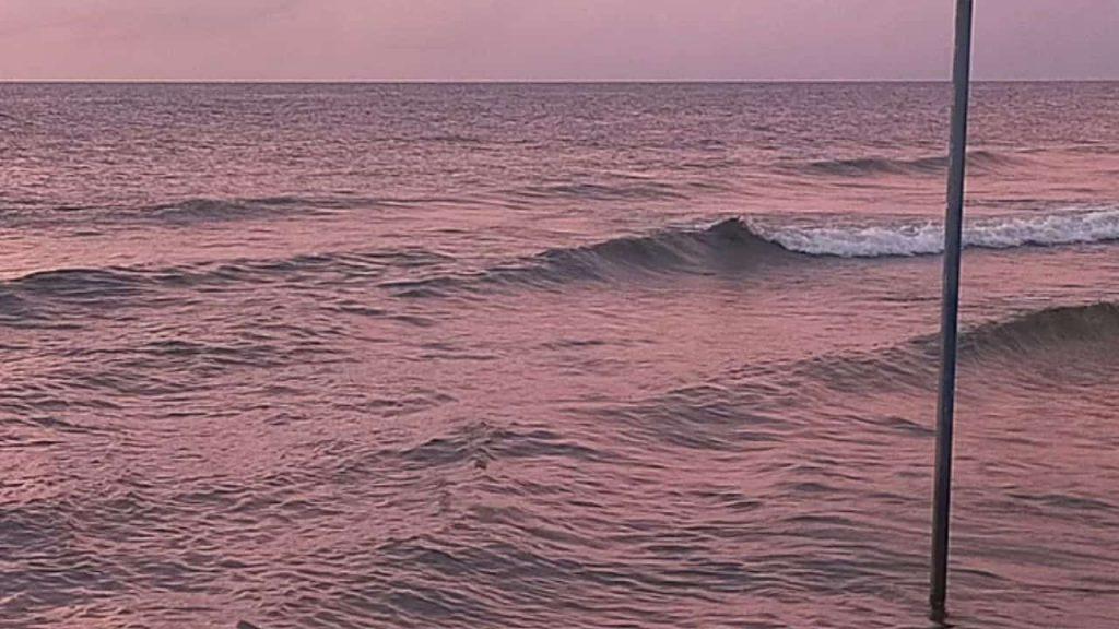 “Heladera abierta”: el efecto que genera que el mar Báltico haya perdido millones de litros de agua “Heladera abierta”: el efecto que genera que el mar Báltico haya perdido millones de litros de agua