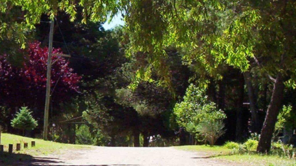 Tiene un bosque encantado y fósiles prehistóricos de 7000 años: así es la playa “desconocida” de la Costa atlántica Tiene un bosque encantado y fósiles prehistóricos de 7000 años: así es la playa “desconocida” de la Costa atlántica